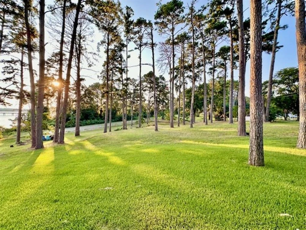 Photo of 3096 Renee Drive