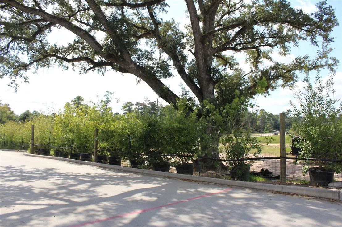 Photo of 0 Gosling Road