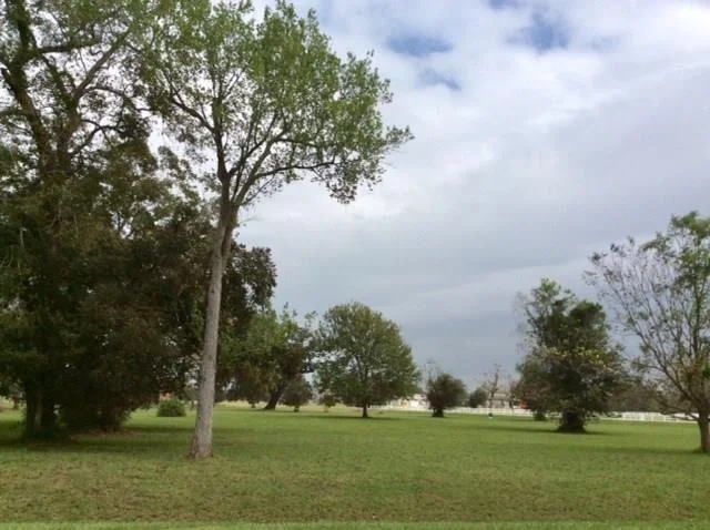 Photo of 4402 Tankersley Circle