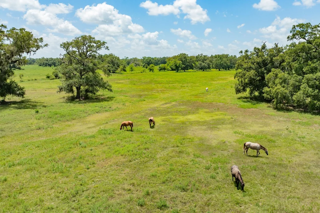 Photo of 438 County Road 164