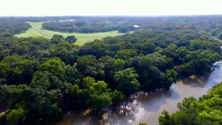 Photo of 223 River Tree Drive