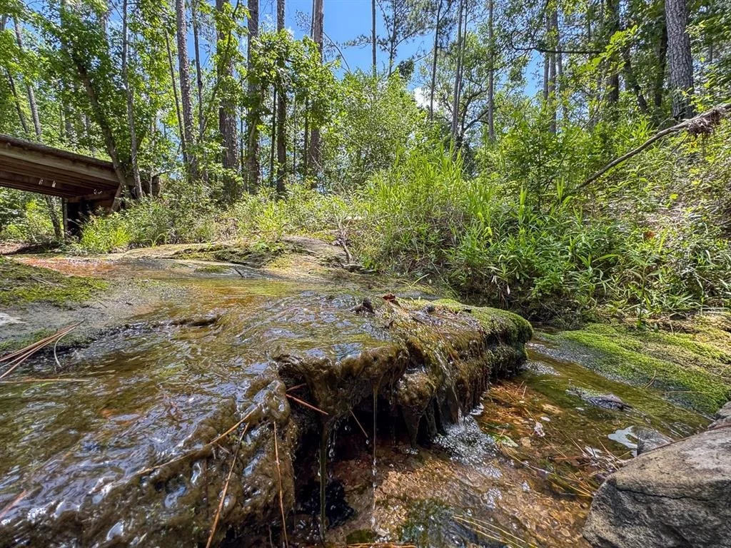 Photo of TBD Fm 355