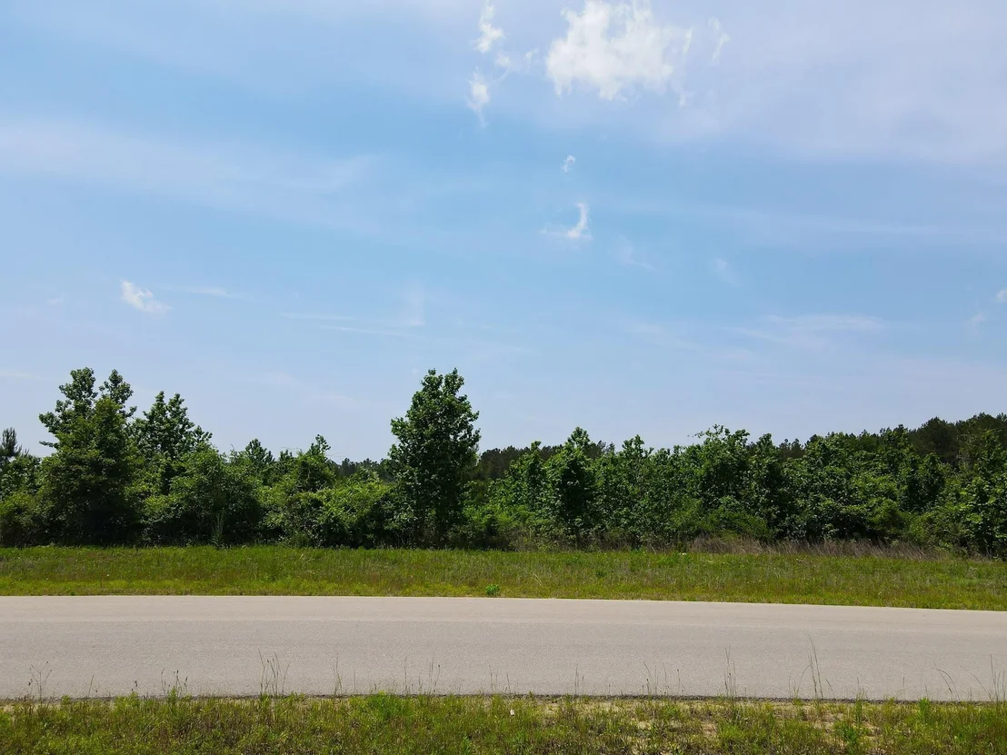 Photo of 16089 Forest Mill Road
