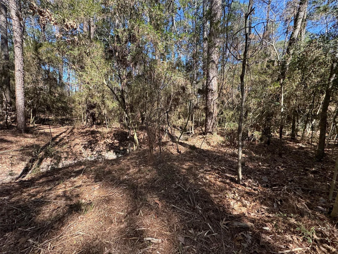 Photo of LOT 106 Whisperwood Drive