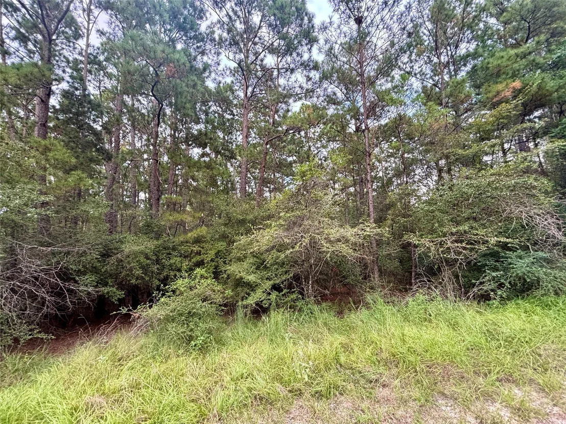 Photo of TBD Parkview Drive