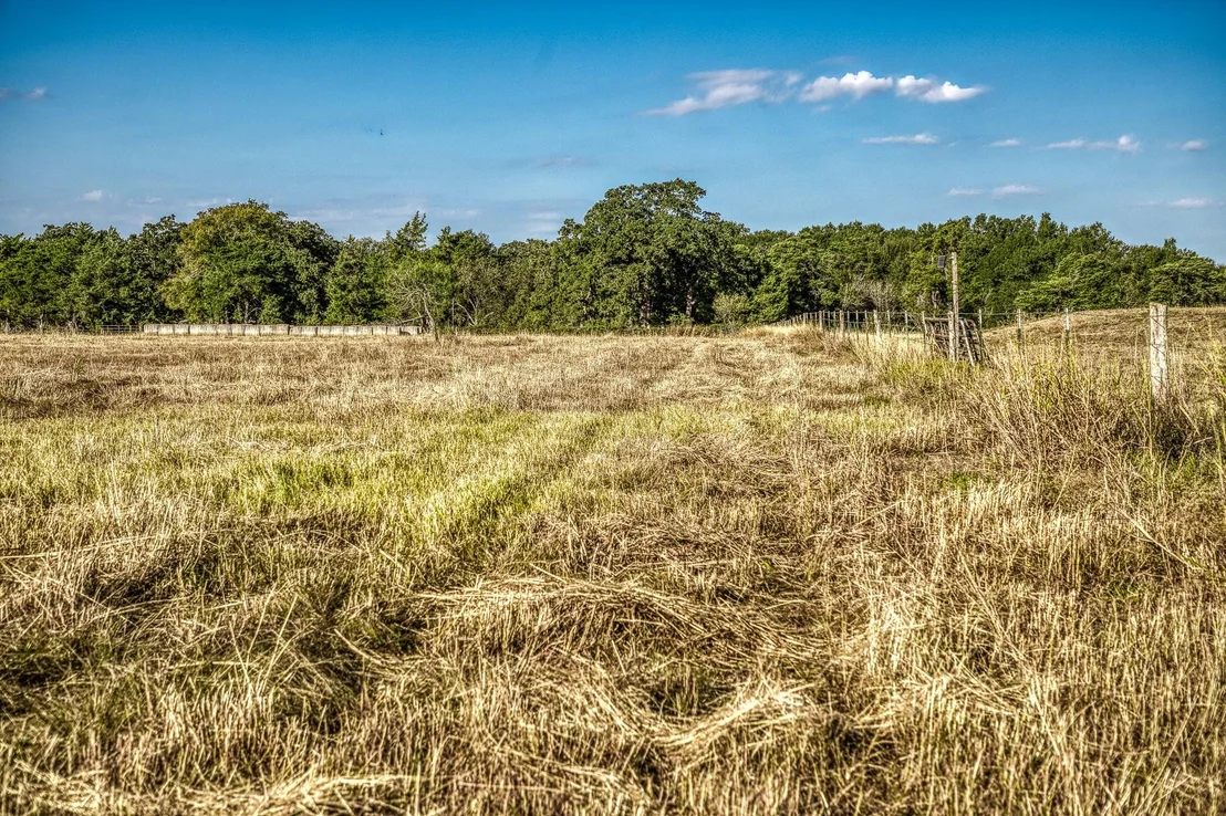 Photo of 460 County Road 328