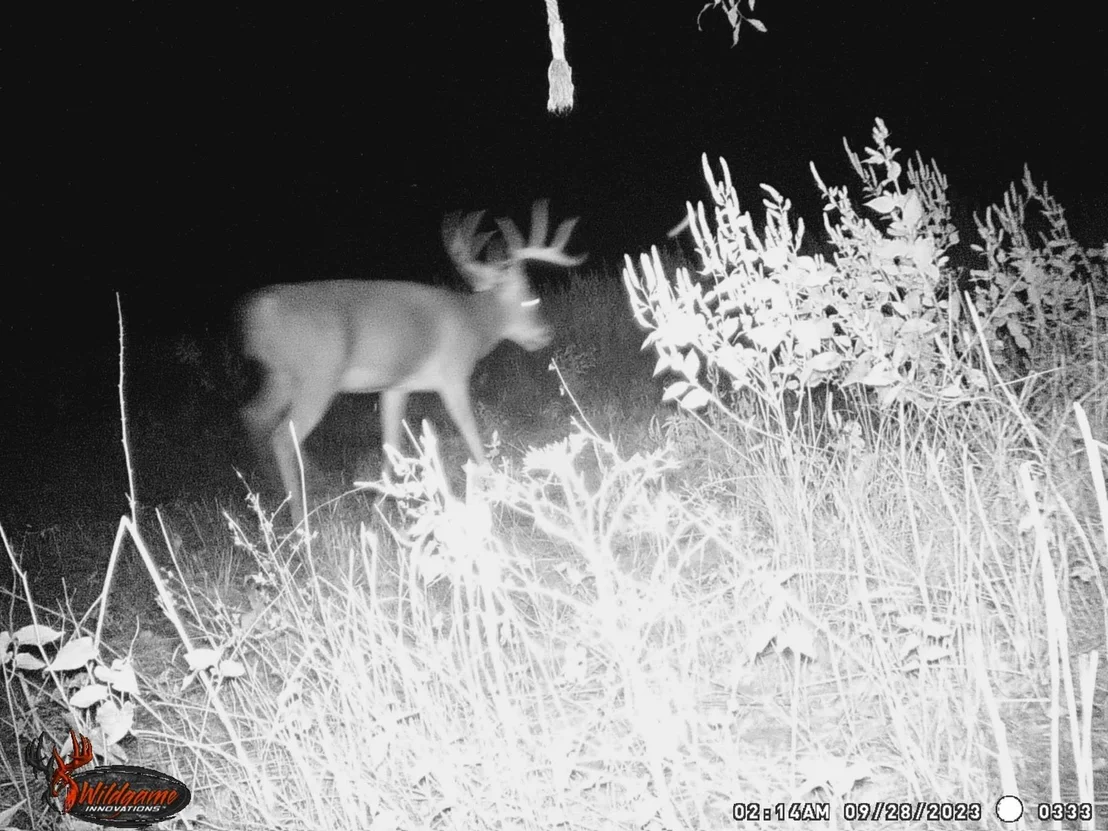 Photo of TBD Pr 1350