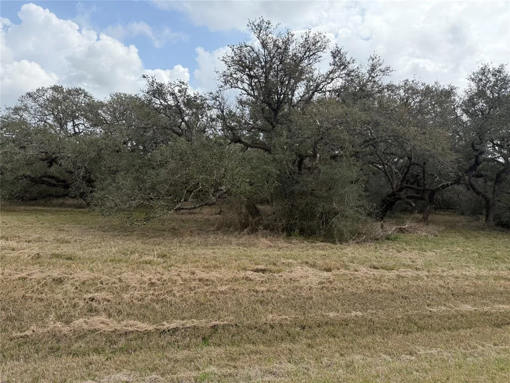 Photo of 114 Center Tree Drive