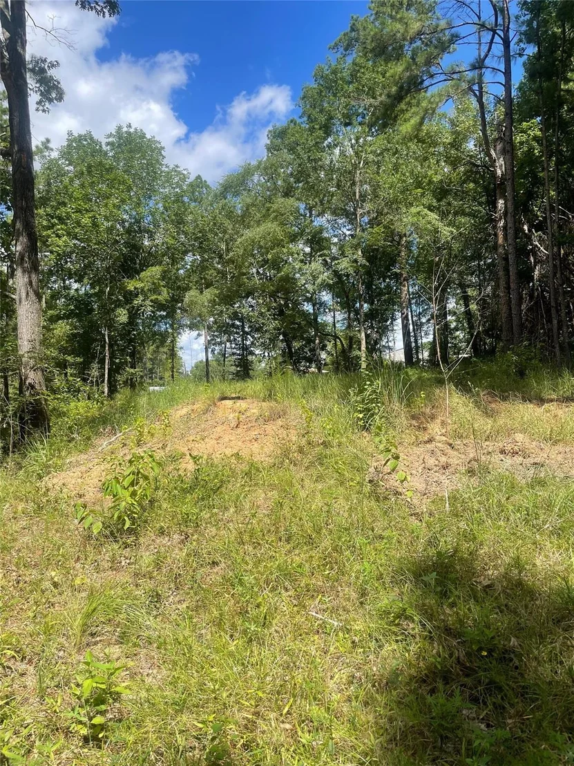 Photo of 70 Tall Timbers Trail