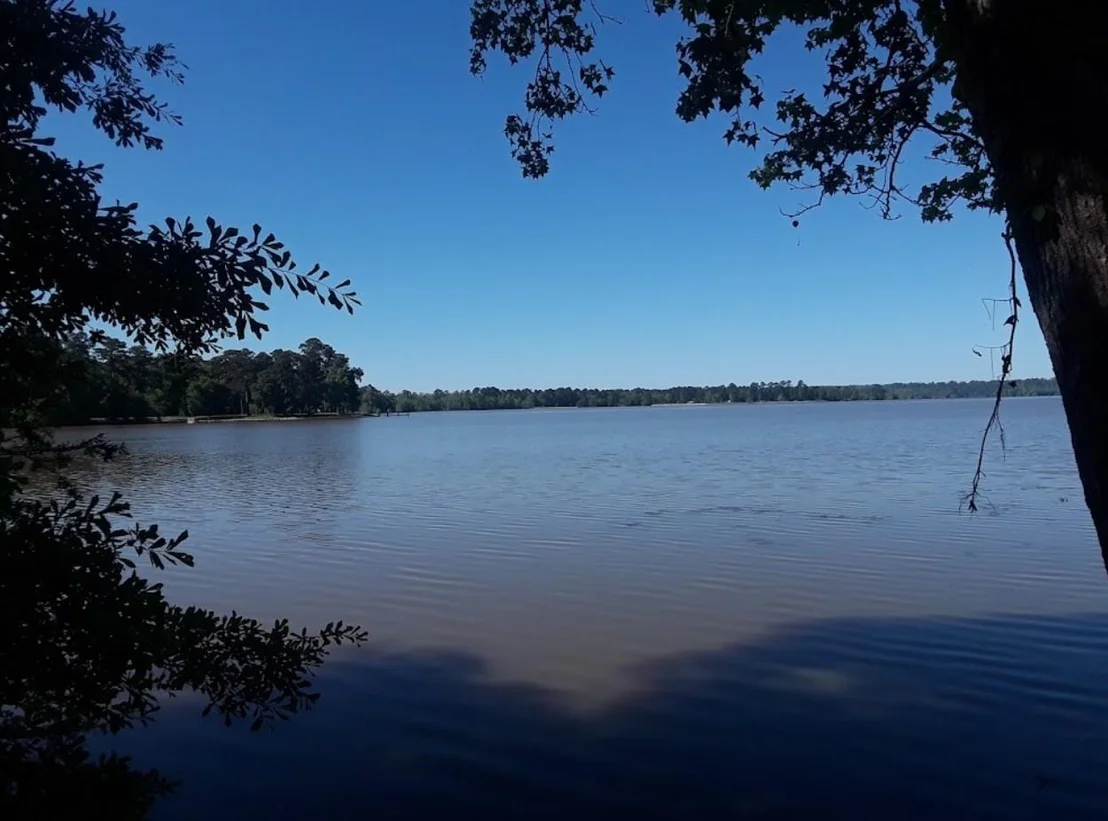 Photo of 1340 County Road 4375