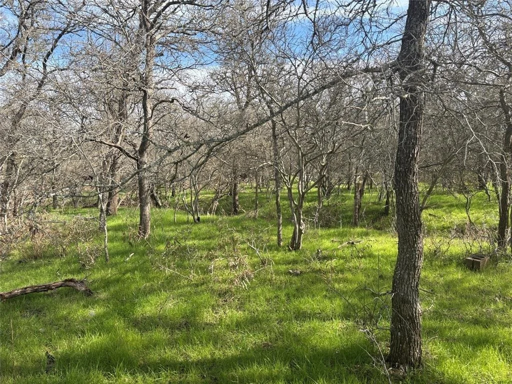 Photo of 245 Elm Forest Loop