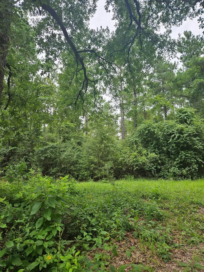 Photo of 422 County Road 4088