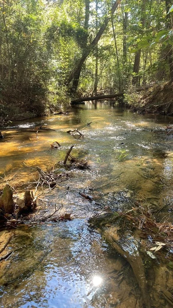 Photo of 164 County Road 2127