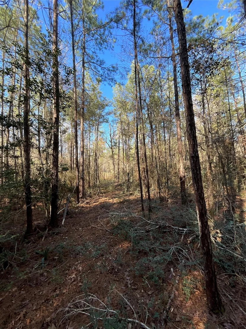Photo of 175 Exploration Road