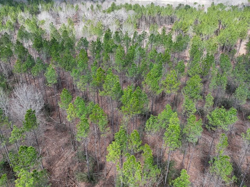 Photo of TBD Off Fm 355