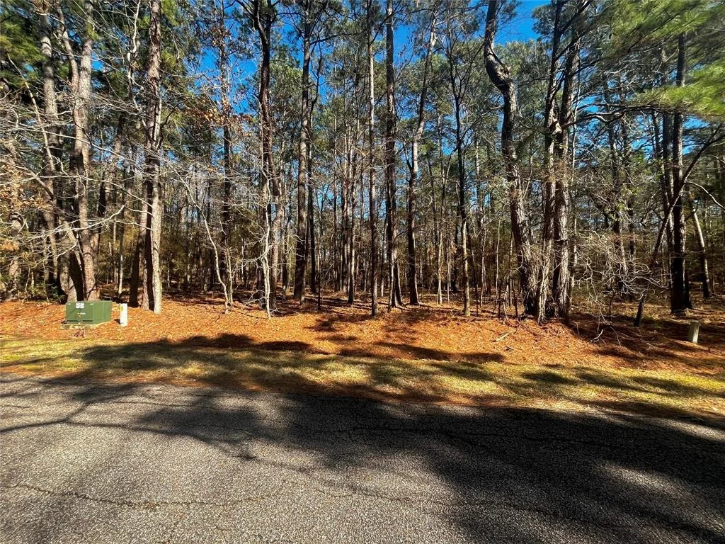 Photo of 55 Green Tree Drive