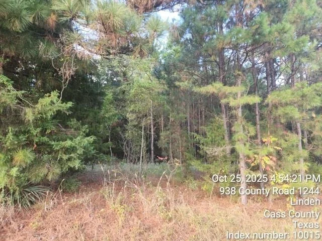 Photo of 938 County Road 1244 Road