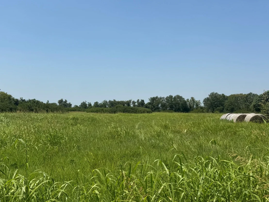 Photo of TBD County Road 230