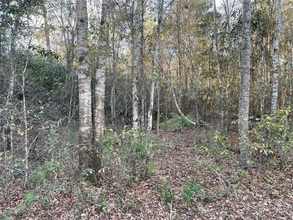 Photo of 00 Wright Boulevard