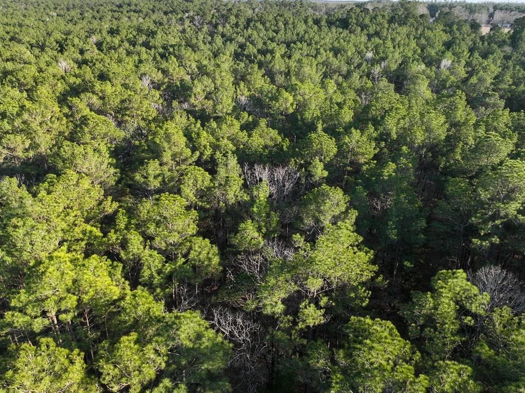 Photo of TBD Off Fm 355