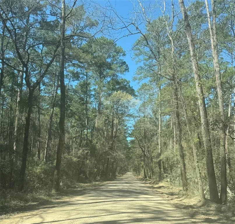 Photo of 0 Forgotten Forest Drive