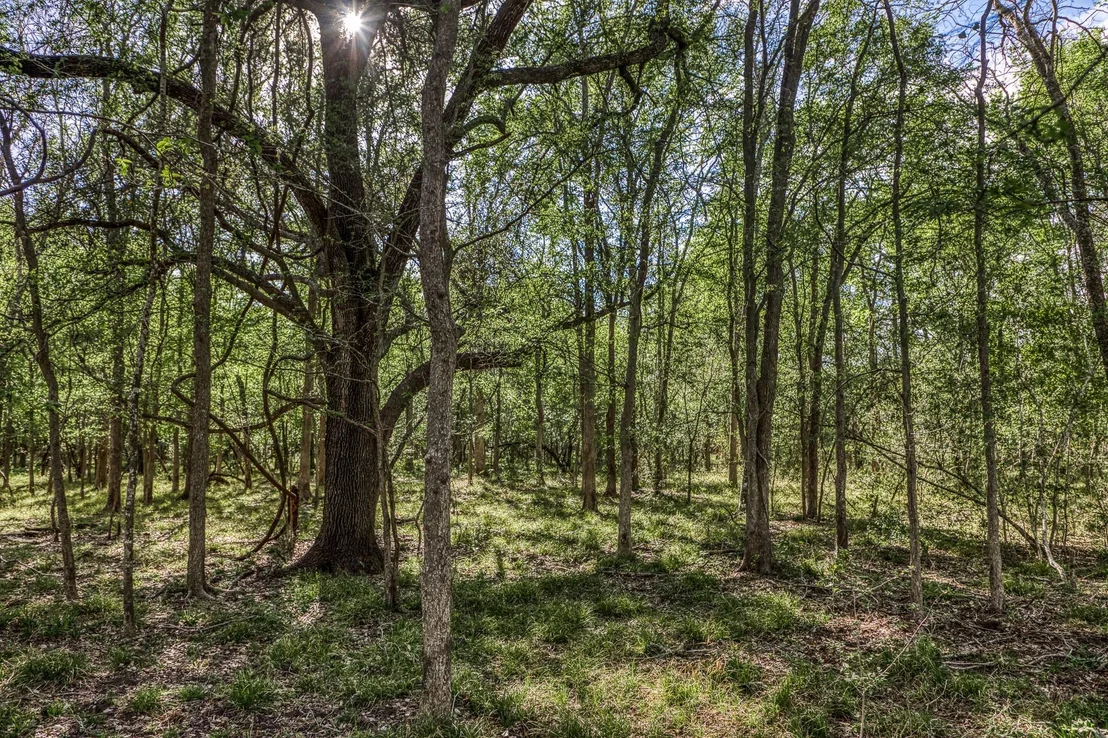 Photo of 687 County Road 340