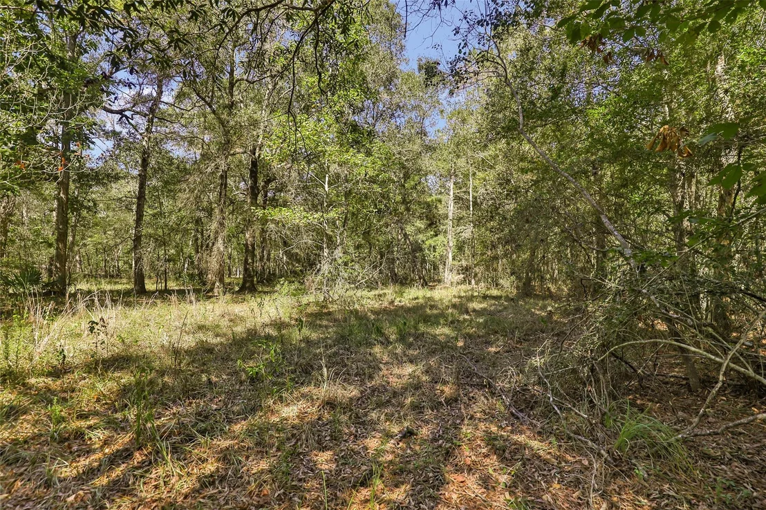 Photo of 1132 County Road 112