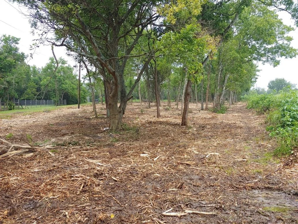 Photo of 3720 County Road 144