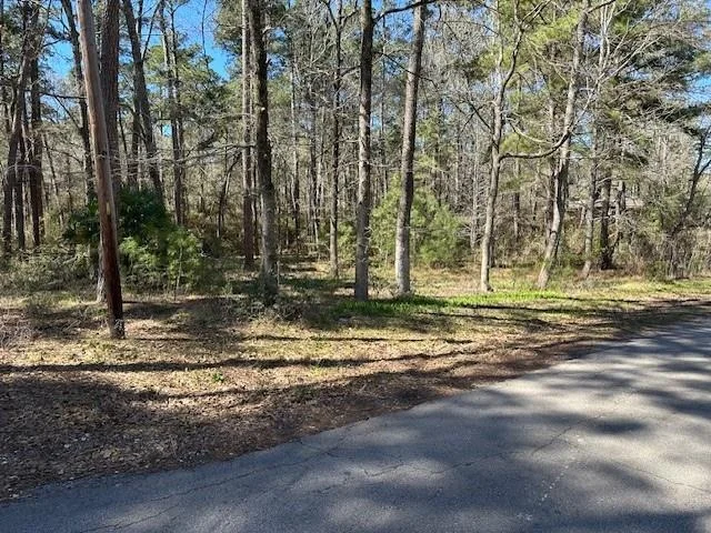 Photo of 15819 Forest Drive