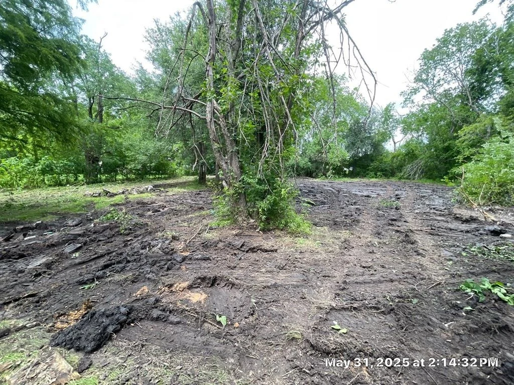 Photo of 10371 County Road 909