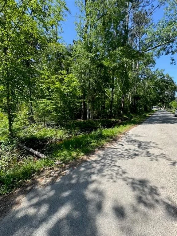 Photo of 166 County Road 3475