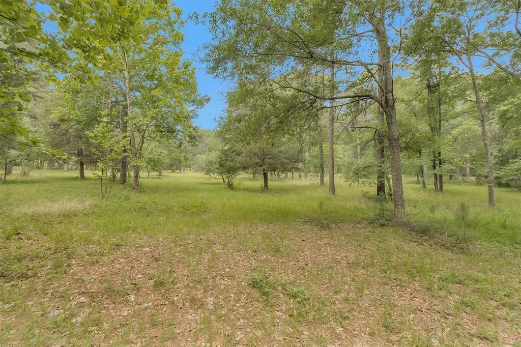 Photo of 10186 Calvary Road