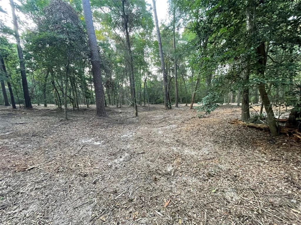 Photo of 11451 White Road
