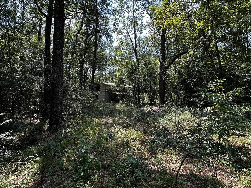 Photo of 114 County Road 6481