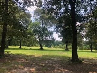 Photo of 000 Counts Road