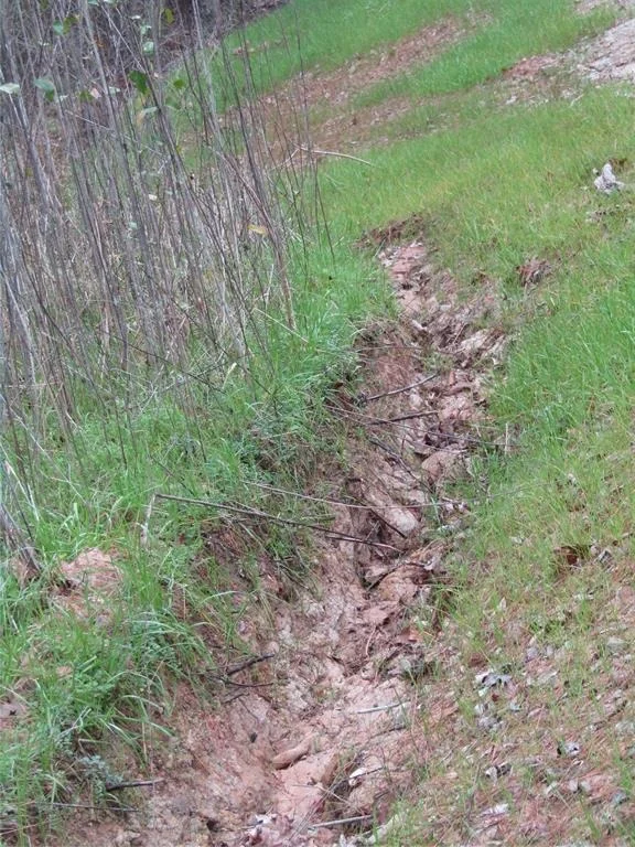 Photo of 0 E Acorn Drive