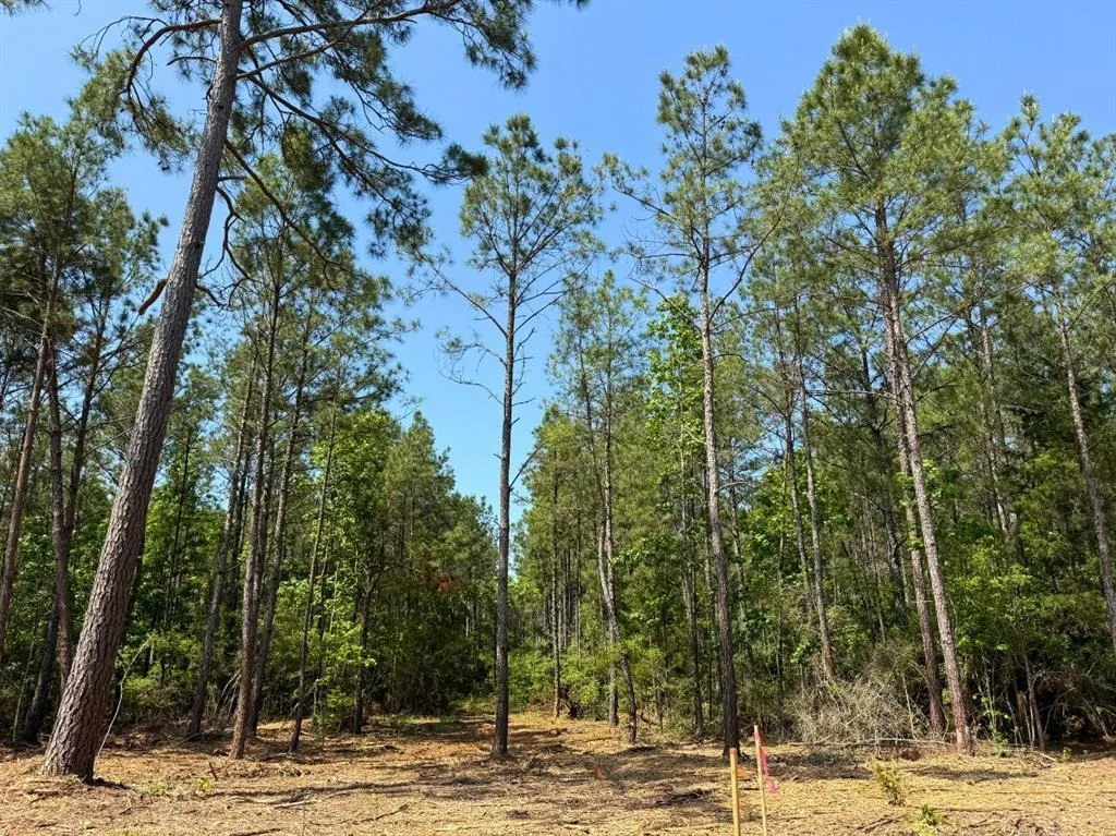 Photo of 3 Camp Ruby Road