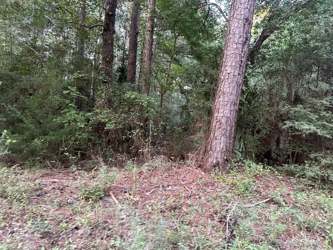 Photo of 2103 Jenkins Road