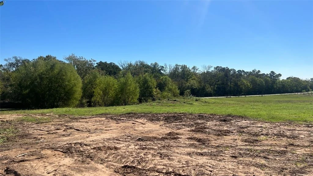 Photo of Lot 2 Cr 319