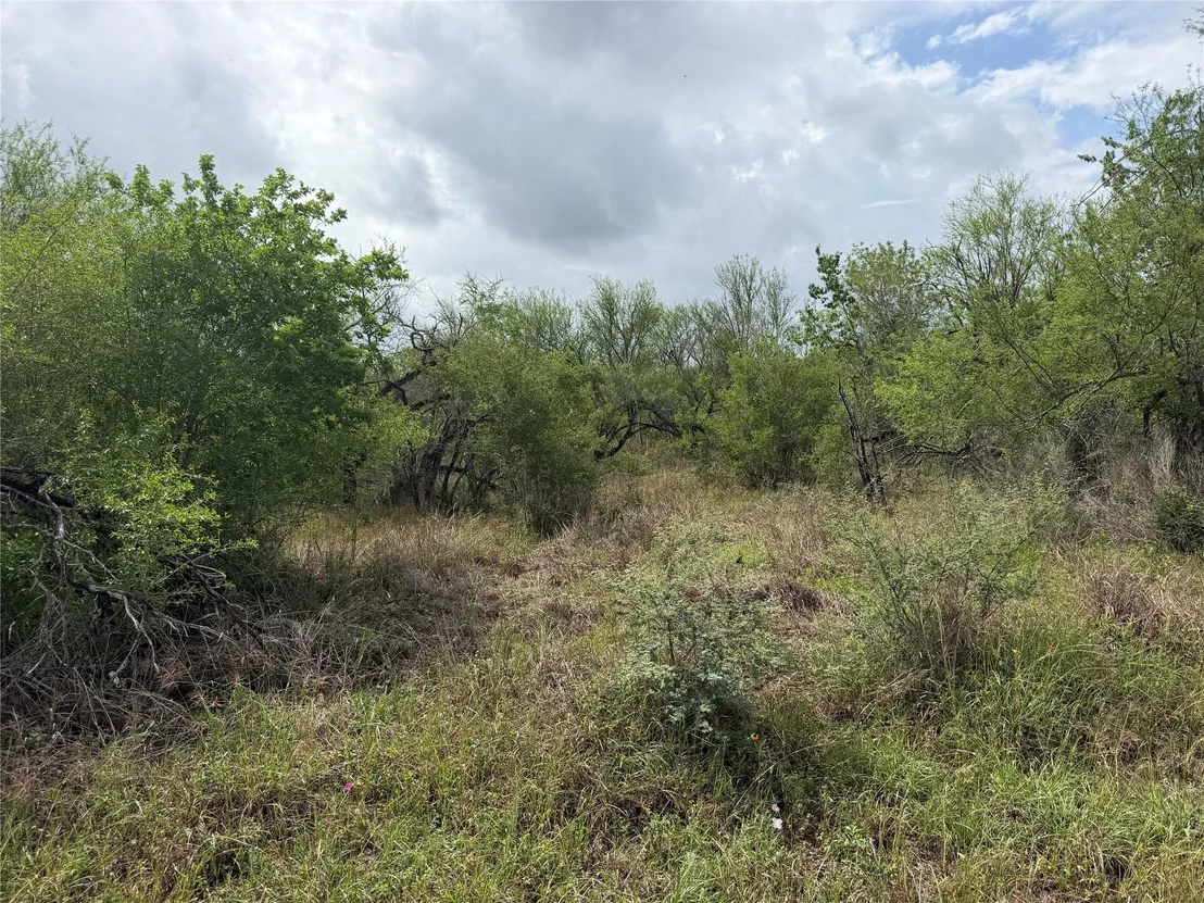 Photo of Tract 9 Love Road