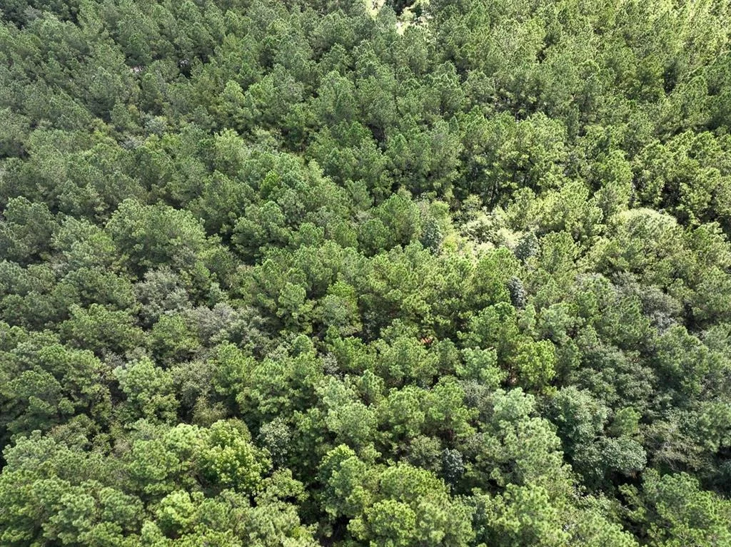 Photo of 02 Cr 4470