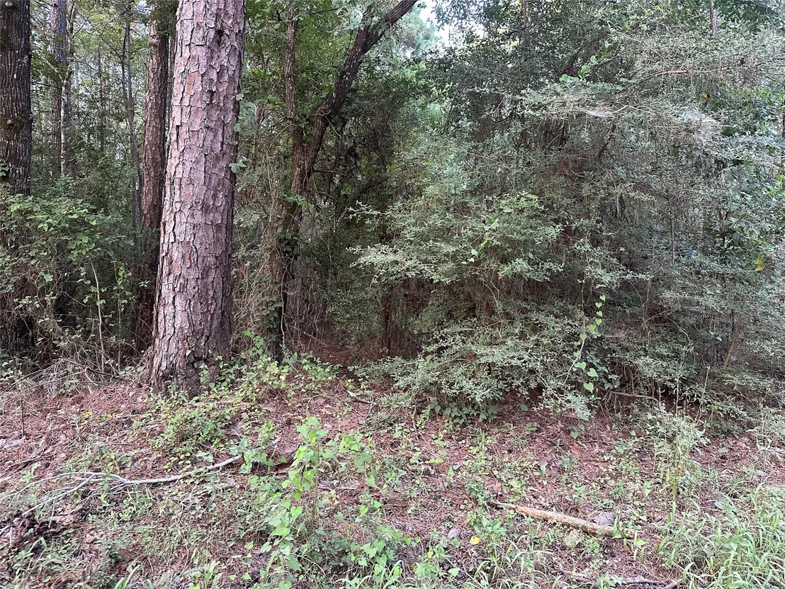 Photo of 2103 Jenkins Road