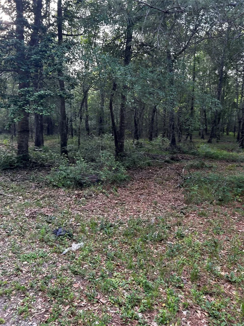 Photo of 0 County Line Road