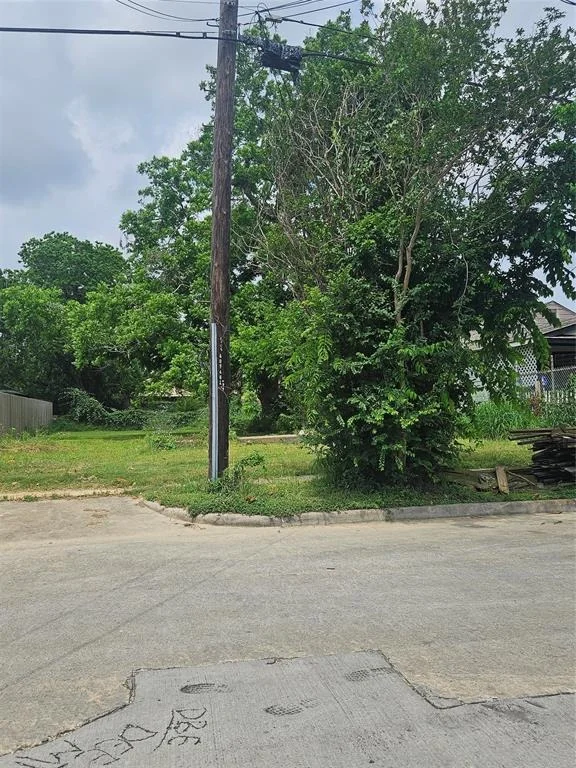 Photo of 1905 Benson Street
