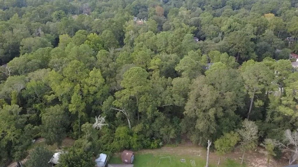 Photo of 31 Holly Springs Drive