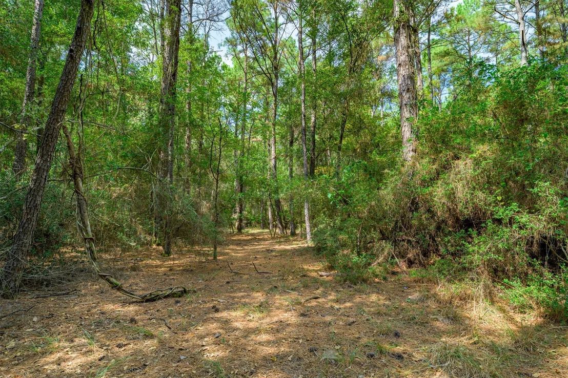 Photo of 17526 E Terrace Oaks Drive
