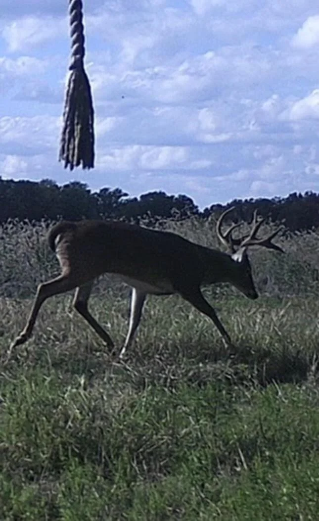 Photo of TBD Pr 1350