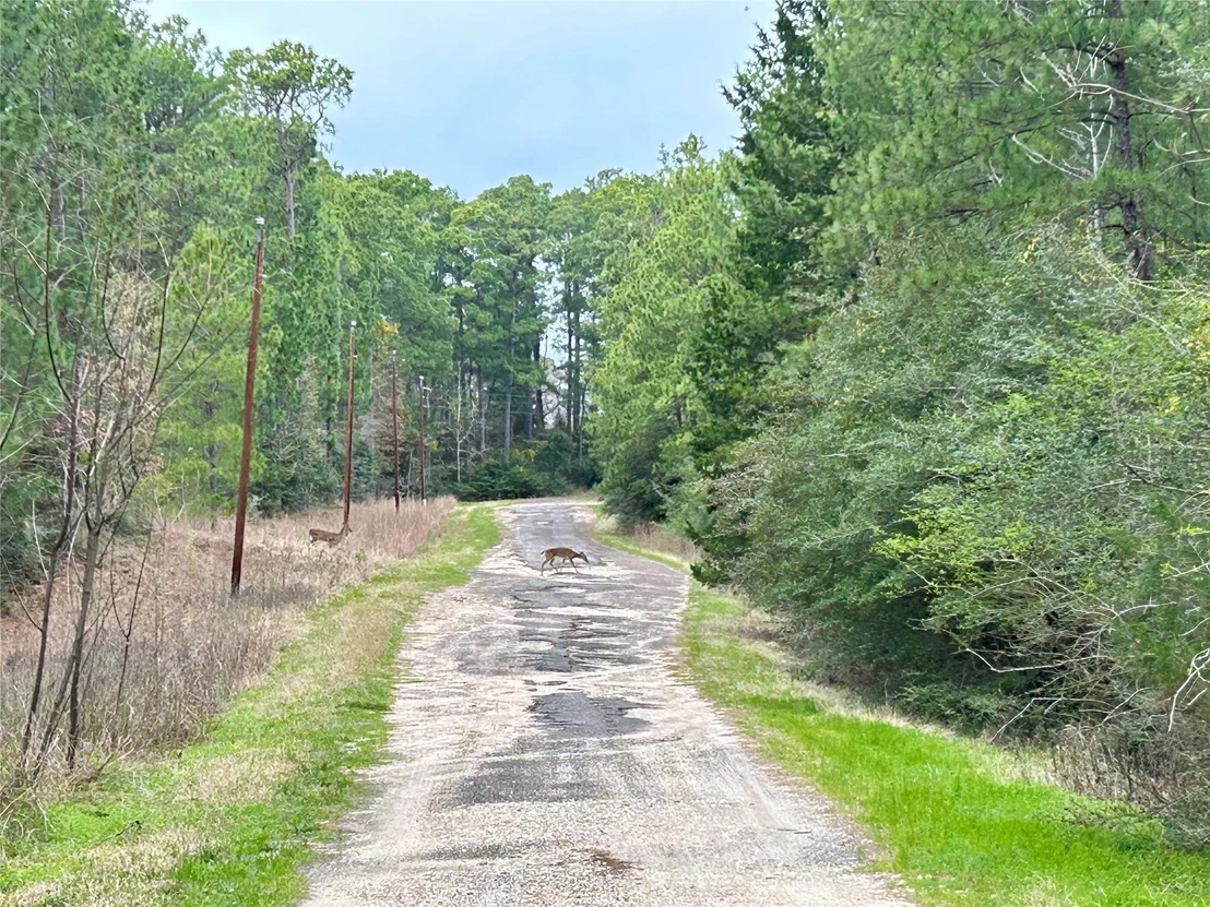 Photo of TBD Parkview Drive