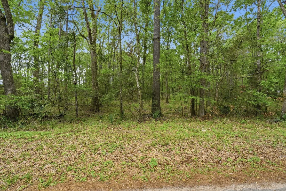 Photo of 19909 Big Oak Drive