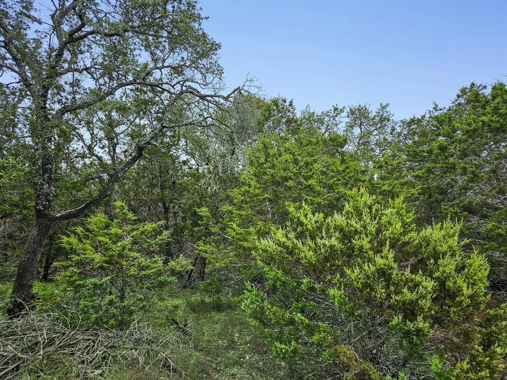 Photo of 157 Verbena Circle